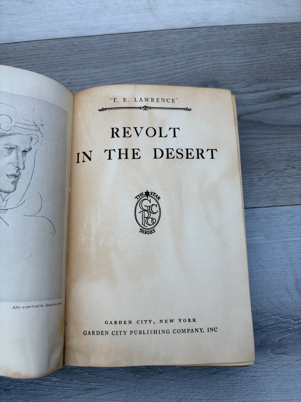 Revolt in the Desert