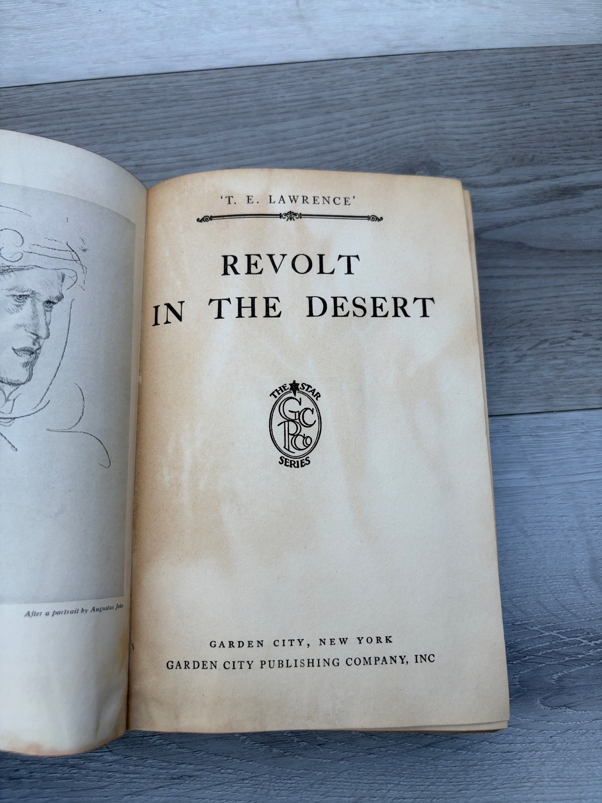 Revolt in the Desert